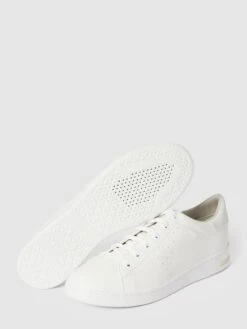 Geox Sneaker Mit Tonalem Besatz Modell 'JAYSEN' - Weiß -Damenbekleidungsgeschäft 6gpjgk1ia11ksjif9sr56daeacs44i2g6os42jika184qkq46h44ajhm6h3j0ihk6p5j0c1m60r56jal9l3m8d1j74s62cj46or66ohkc9ijae1m6pi3ecb16tgj0p1o6kr6cdo